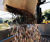 Olive going to press